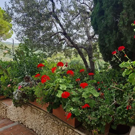 Апартаменты Viste